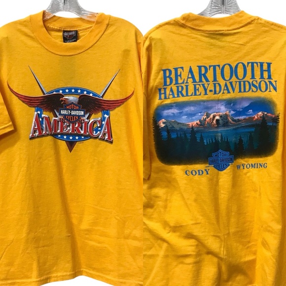 Harley-Davidson Other - NEW - Harley Davidson H-D Y2K Beartooth MT Motorcycle Shirt L - Made in USA